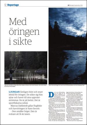 borlangetidning_seksjon-20140915_000_00_00_012.pdf