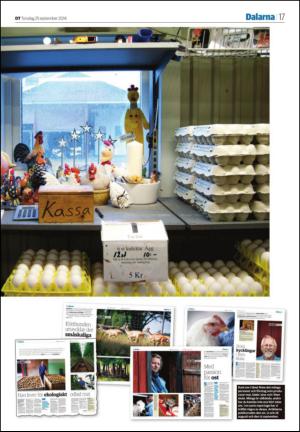 borlangetidning_seksjon-20140925_000_00_00_017.pdf