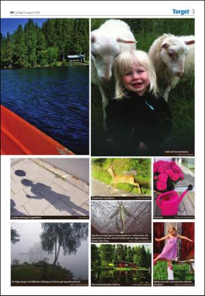 borlangetidning_seksjon-20150822_000_00_00_003.pdf