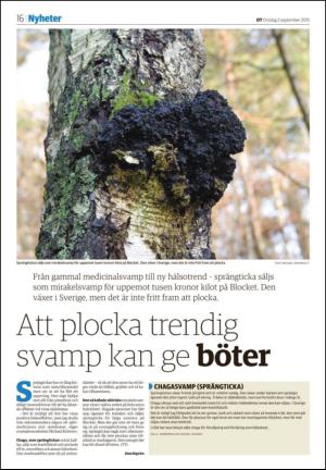 borlangetidning_seksjon-20150902_000_00_00_016.pdf