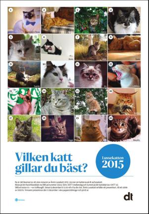 borlangetidning_seksjon-20151203_000_00_00_014.pdf