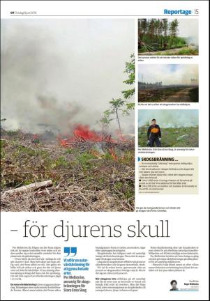 borlangetidning_seksjon-20160608_000_00_00_015.pdf