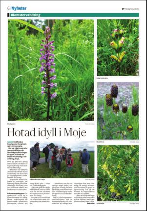 borlangetidning_seksjon-20160712_000_00_00_006.pdf