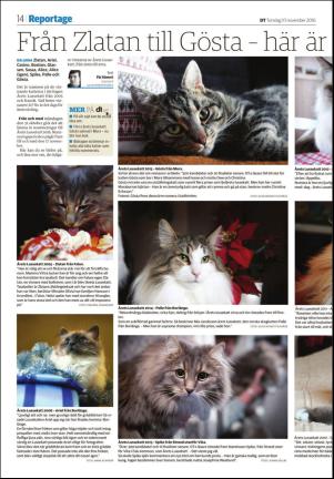 borlangetidning_seksjon-20161110_000_00_00_014.pdf