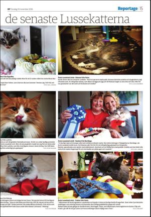 borlangetidning_seksjon-20161110_000_00_00_015.pdf