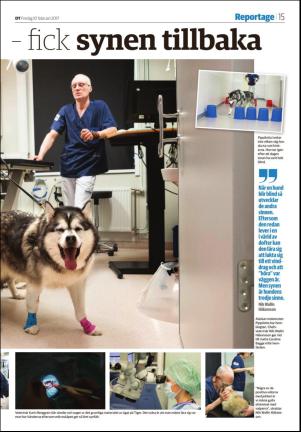 borlangetidning_seksjon-20170210_000_00_00_015.pdf