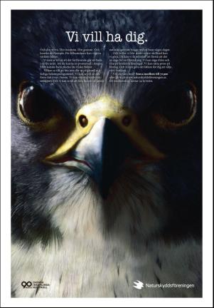borlangetidning_seksjon-20180210_000_00_00_014.pdf