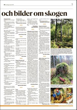 borlangetidning_seksjon-20180405_000_00_00_011.pdf
