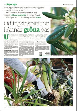 borlangetidning_seksjon-20180414_000_00_00_014.pdf