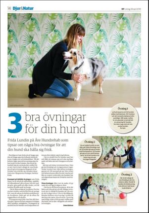 borlangetidning_seksjon-20180428_000_00_00_014.pdf