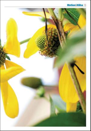 borlangetidning_seksjon-20181004_000_00_00_013.pdf