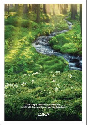 borlangetidning_seksjon-20181110_000_00_00_007.pdf
