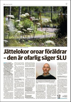 borlangetidning_seksjon-20190727_000_00_00_017.pdf