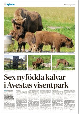 borlangetidning_seksjon-20190802_000_00_00_012.pdf