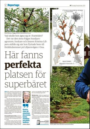 borlangetidning_seksjon-20190919_000_00_00_012.pdf