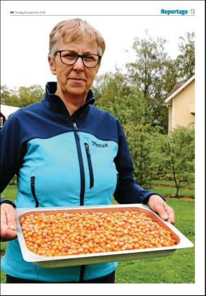 borlangetidning_seksjon-20190919_000_00_00_013.pdf