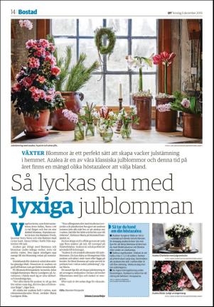 borlangetidning_seksjon-20191205_000_00_00_014.pdf