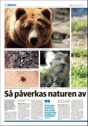 borlangetidning_seksjon-20200123_000_00_00_012.pdf