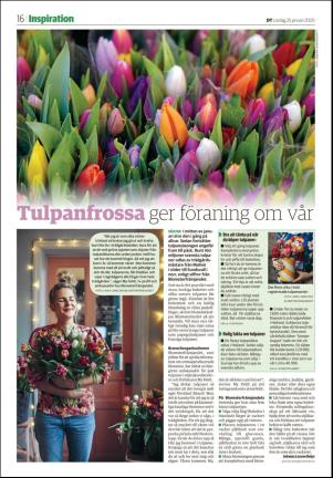 borlangetidning_seksjon-20200125_000_00_00_016.pdf