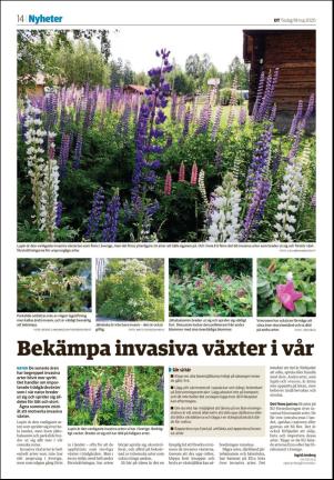 borlangetidning_seksjon-20200519_000_00_00_014.pdf