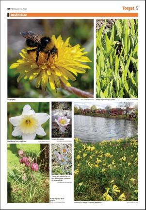 borlangetidning_seksjon-20200525_000_00_00_005.pdf