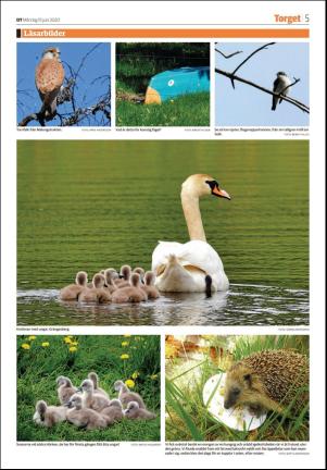 borlangetidning_seksjon-20200615_000_00_00_005.pdf