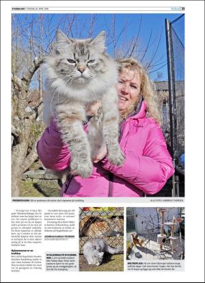 bygdebladet-20180426_000_00_00_023.pdf