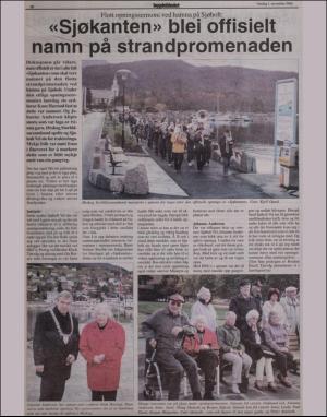 bygdebladet_ves-20001101_000_00_00_010.pdf