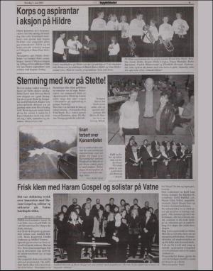 bygdebladet_ves-20020502_000_00_00_009.pdf