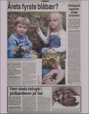 bygdebladet_ves-20020615_000_00_00_010.pdf