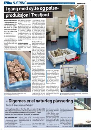 bygdebladet_ves-20181214_000_00_00_012.pdf