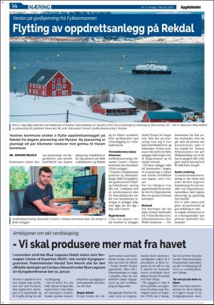 bygdebladet_ves-20190201_000_00_00_014.pdf