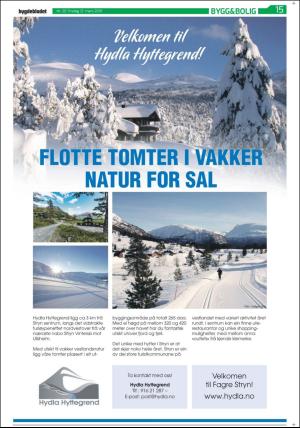 bygdebladet_ves-20190312_000_00_00_015.pdf