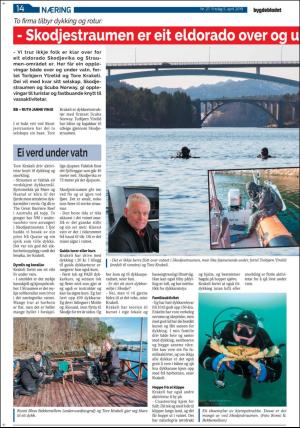 bygdebladet_ves-20190405_000_00_00_014.pdf