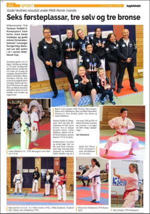 bygdebladet_ves-20190507_000_00_00_022.pdf