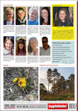 bygdebladet_ves-20190712_000_00_00_024.pdf