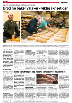 bygdebladet_ves-20200317_000_00_00_008.pdf