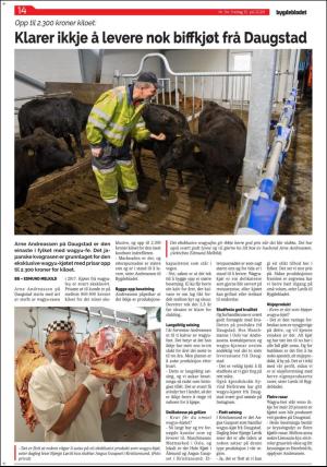 bygdebladet_ves-20200710_000_00_00_014.pdf