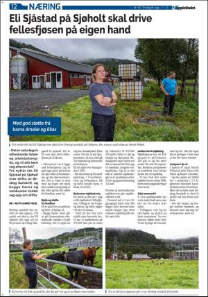 bygdebladet_ves-20200818_000_00_00_012.pdf