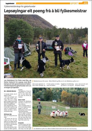 bygdebladet_ves-20201013_000_00_00_045.pdf