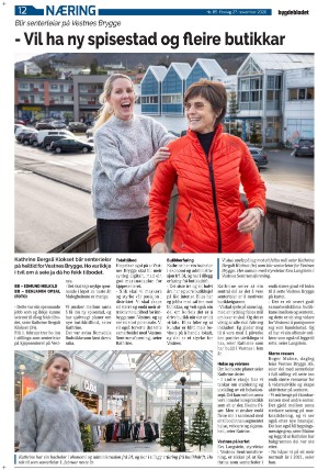 bygdebladet_ves-20201127_000_00_00_012.pdf