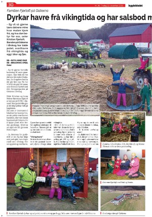 bygdebladet_ves-20201222_000_00_00_030.pdf