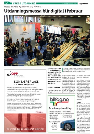 bygdebladet_ves-20210115_000_00_00_012.pdf