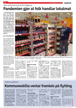 bygdebladet_ves-20210205_000_00_00_012.pdf