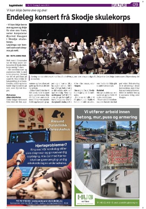 bygdebladet_ves-20210309_000_00_00_009.pdf