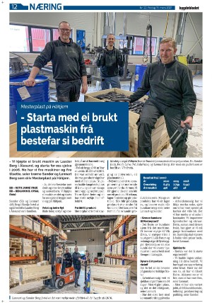 bygdebladet_ves-20210319_000_00_00_012.pdf