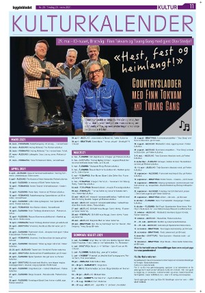 bygdebladet_ves-20210323_000_00_00_011.pdf