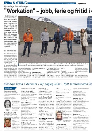 bygdebladet_ves-20210507_000_00_00_012.pdf