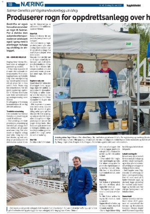 bygdebladet_ves-20210526_000_00_00_018.pdf