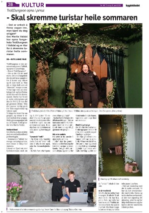 bygdebladet_ves-20210608_000_00_00_028.pdf